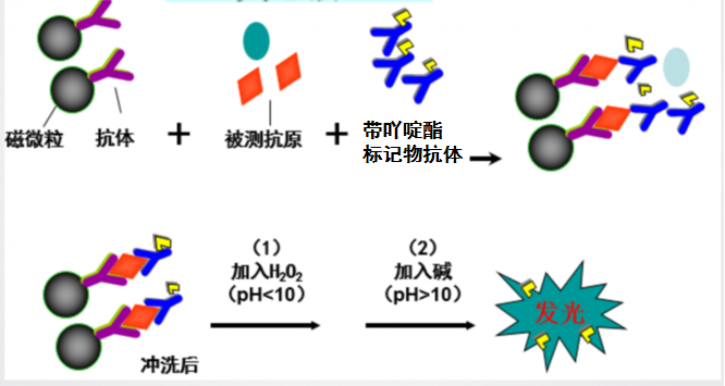 原理(lǐ)圖rr.png